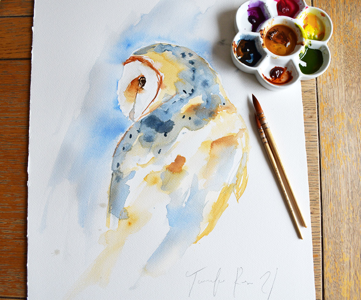JRGallery_HT_BarnOwl2