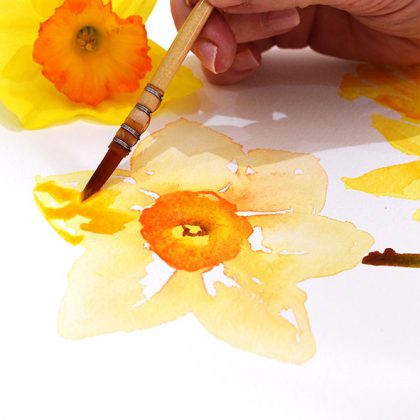 How To Paint Loose Watercolour Daffodils Jennifer Rose Gallery