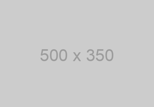 500x350