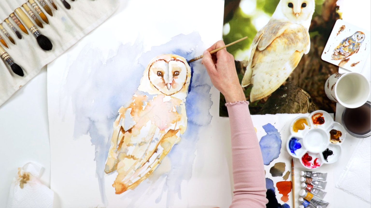 BarnOwlTutorialImage1SFW