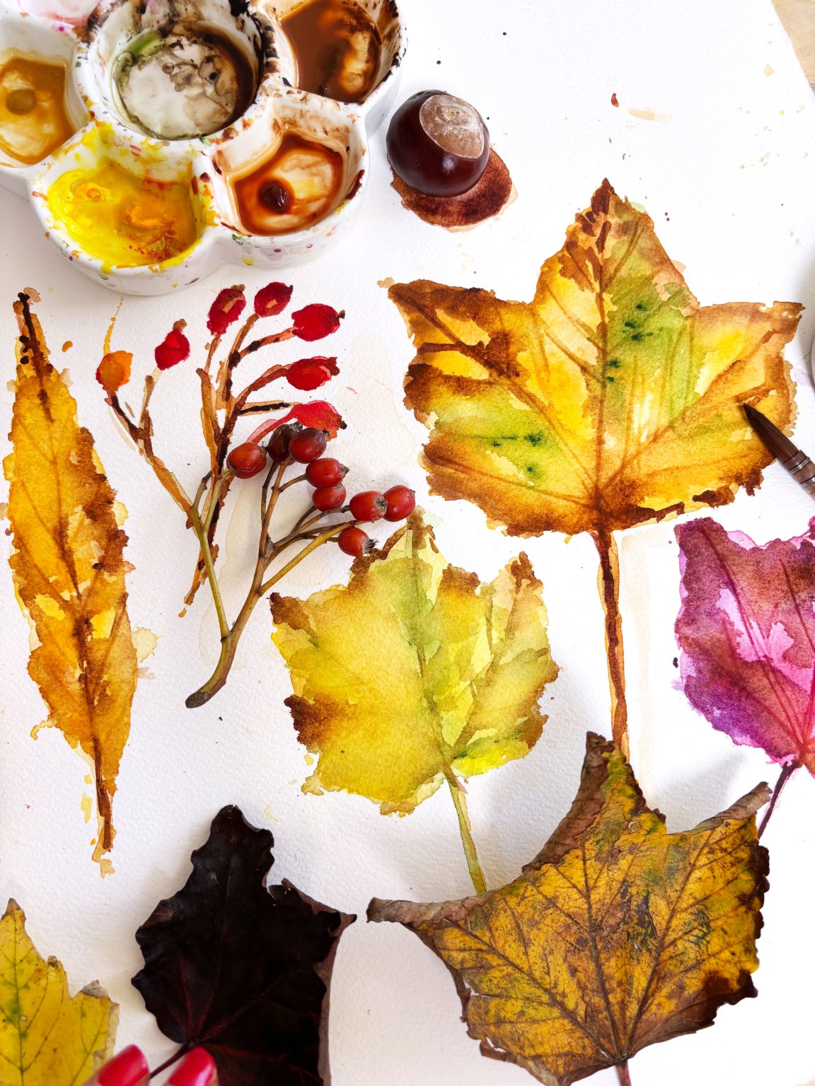 Autumn1