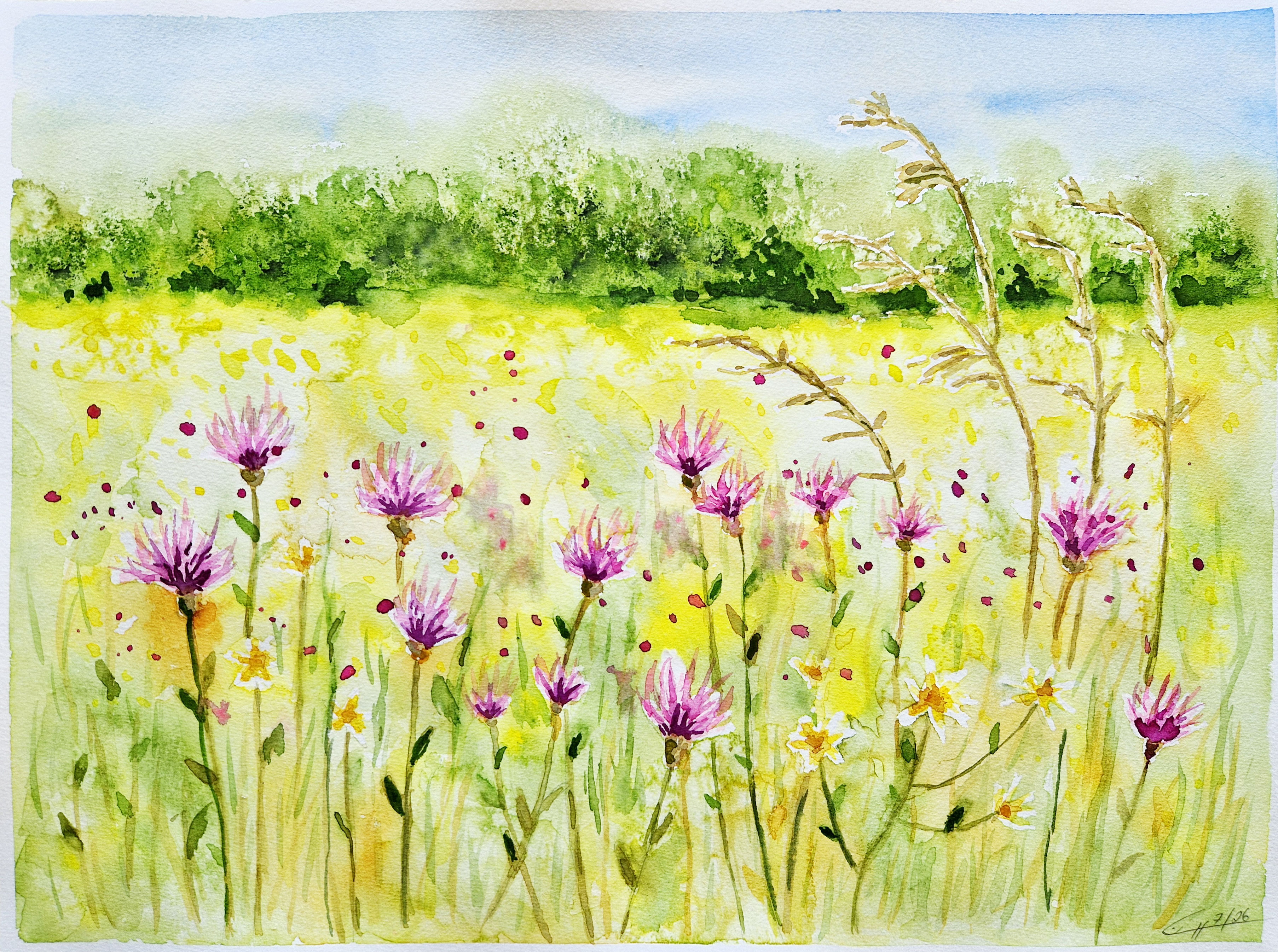 EdithMeadow