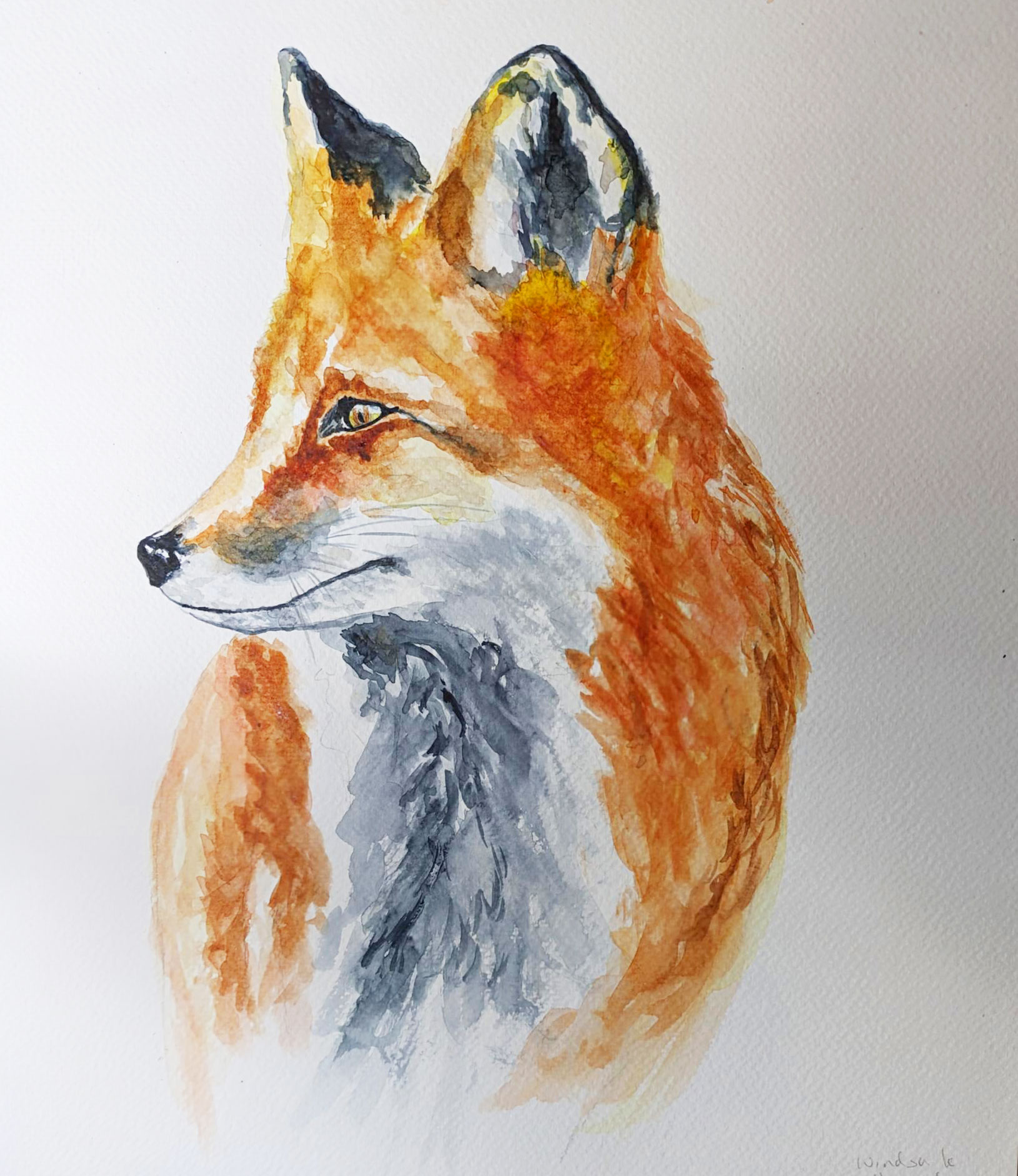JennyFox